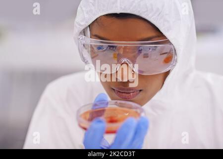 Sorgfältige Beobachtung. Eine junge Wissenschaftlerin in Schutzkleidung untersucht in ihrem Labor eine Petrischale. Stockfoto