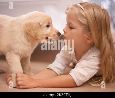 Der beste Freund, den du bekommen kannst. Ein entzückendes kleines Mädchen mit ihrem Welpen zu Hause. Stockfoto