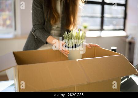 Job Beenden. Mitarbeiter Mit Kartonverpackung Stockfoto