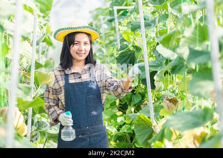 Junge Bauerin, die Wasser mit nebligen Spritzen in das Gartenwächshaus sprüht Stockfoto