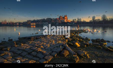 Breisach am Rhein Stockfoto