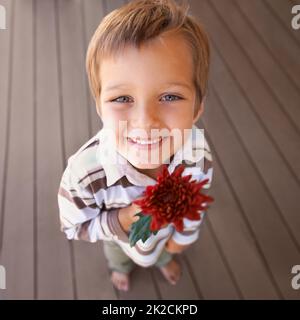 Ich habe eine Überraschung bekommen Aufnahme eines niedlichen kleinen Jungen mit einer roten Blume. Stockfoto