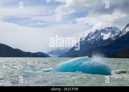 Blick auf den Grauen See, Torres del Paine, Chile Stockfoto