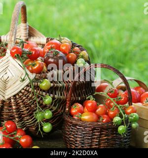 Verschiedene Heirloom Tomaten in Körben bunte Tomaten - rot, gelb, orange. Ernte Gemüse kochen Konzeption Stockfoto