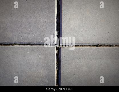 Große quadratische Betonplatten. Gehweg. Draufsicht. Hintergrund der Textur Stockfoto