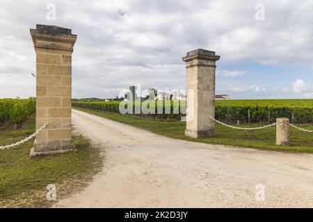 Typische Weinberge in der Nähe von Saint-Julien-Beychevelle, Bordeaux, Aquitanien, Frankreich Stockfoto