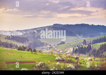 Frühlingslandschaft. Blühende Gartenblumenbäume. Traditionelles Bergdorf auf Hügeln. - Obstblüte. Ländlicher ukrainischer Sonnenaufgang in Karpaten Stockfoto