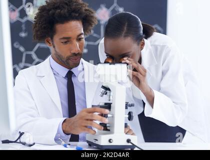 Dinge aus nächster Nähe sehen. Aufnahme einer Biologin, die mit ihrer Kollegin etwas unter dem Mikroskop untersucht. Stockfoto