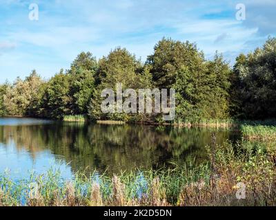 See und Bäume in North Cave Wetlands, East Yorkshire, England Stockfoto