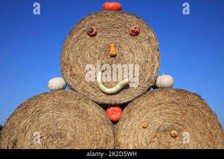 Kürbisse auf dem Bauernmarkt in Deutschland Stockfoto