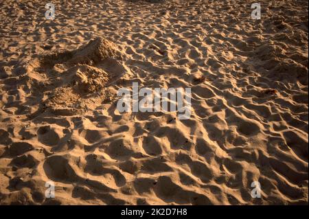 Sand und Sehen in wustrow - ostsee in deutschland Stockfoto