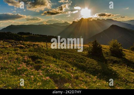 sonnenaufgang in der seiser alm in italien Stockfoto