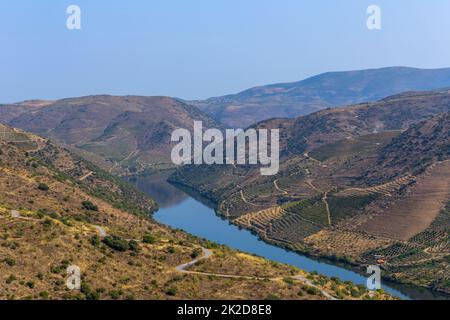 Foz Coa. Douro Stockfoto