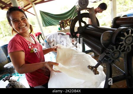 Zufriedenheit am Arbeitsplatz. Eine Thailänderin lächelt, während sie Gummilaken ausrollt. Stockfoto