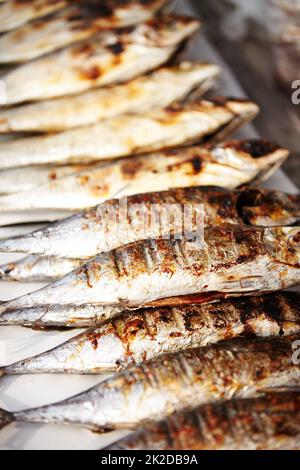 Verpackt wie Sardinen. Nahaufnahme von gekochten Sardinen in Reihe, bereit zum Essen an einem thailändischen Marktstand. Stockfoto