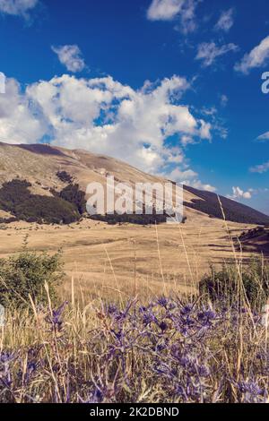 Nationalpark der Abruzzen in der Nähe von Barrea, Latium und Molis, Italien Stockfoto