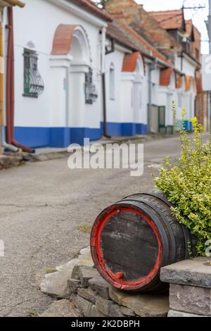 Terezin Weinkeller, Südmähren, Tschechische Republik Stockfoto