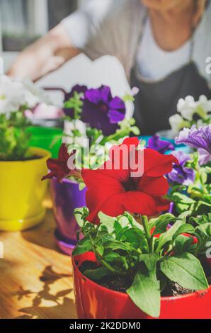 Gartenarbeit Stockfoto