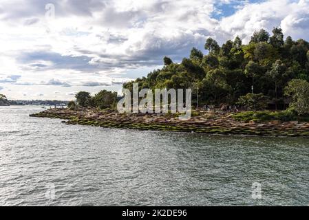 Der Wulugul Walk auf dem Barangaroo Reserve in Sydney Stockfoto