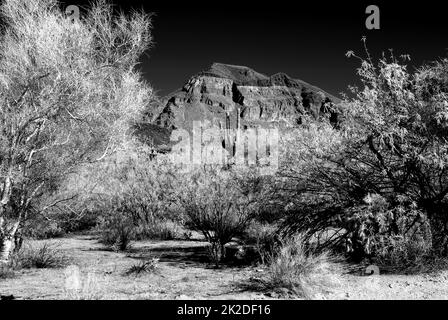 Infrarot Arizona Wüstenberg und Saguaro Stockfoto