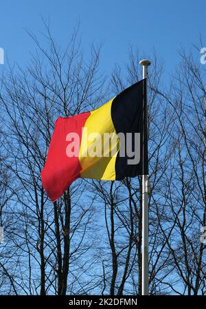 An einem sonnigen Tag im Frühling vor einigen Bäumen die belgische Flagge zu schwenken Stockfoto