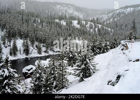 Yellowstone Winter Snow Madison River Stockfoto