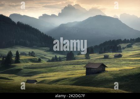 Alpe di Siusi Stockfoto