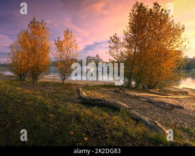 Breisach am Rhein Stockfoto