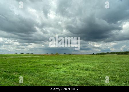 Grüne, große Wiese und bewölkter Himmel, Sommertag Stockfoto