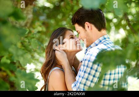 Verloren in den Augen der anderen. Aufnahme eines jungen Paares, das einen romantischen Moment in einem Park teilt. Stockfoto