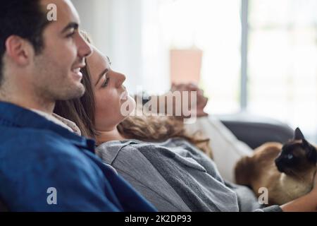 Heimelige Glückseligkeit vom Allerfeinsten. Aufnahme eines glücklichen jungen Paares, das sich zu Hause mit seiner Katze auf dem Sofa entspannt. Stockfoto