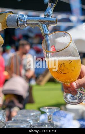 Bier in Glas in einer Bar, oktoberfest an sonnigen Tagen, Kopierplatz. Stockfoto