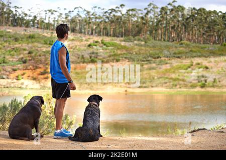 Nehmen Sie die Hunde für einen malerischen Spaziergang. Ein junger Mann, der mit seinen beiden Hunden neben ihm über einen Teich blickt. Stockfoto