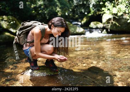 Erfrischung im Wald. Eine junge Frau, die während einer Wanderung im Wald für eine Wasserpause hält. Stockfoto