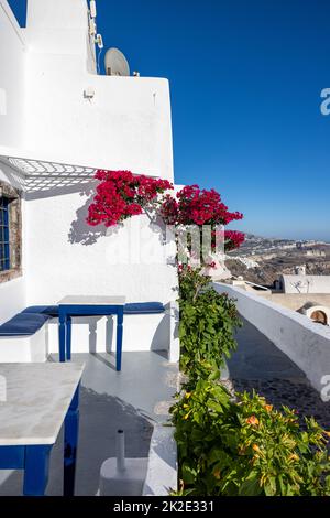 Rote Bougainvillea klettern an der Wand des weiß getünchten Hauses in Imerovigli auf der Insel Santorini, Kykladen, Griechenland Stockfoto