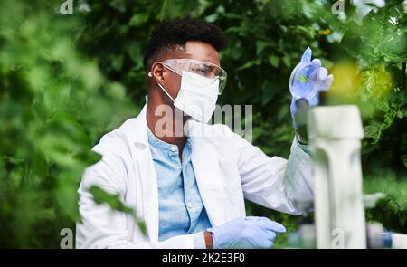 Nur einen genaueren Blick auf die Dinge. Aufnahme eines jungen Botanikers mit einer Lupe, um eine Pflanze im Freien zu betrachten. Stockfoto