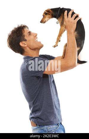 Beste Freunde für immer. Ein junger Mann, der einen kleinen Hund hochhält und lacht. Stockfoto