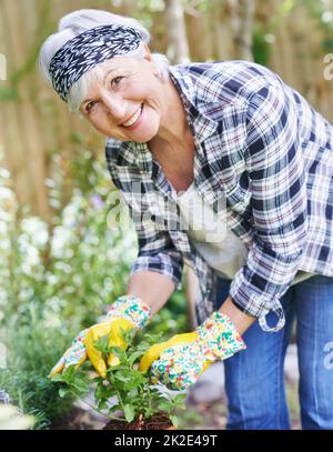 Ich wusste nie, dass ich einen grünen Daumen hatte. Eine glückliche ältere Frau, die in ihrem Garten arbeitet. Stockfoto