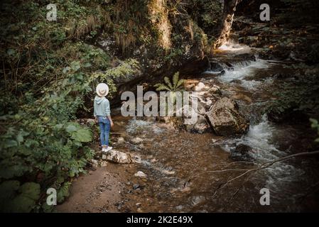 Junge Touristen wandern am Bergfluss und genießen die Landschaft, spazieren entlang der Felsen. Stockfoto