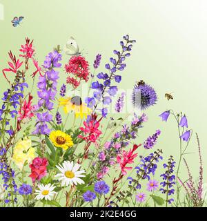 Bunte Gartenblumen mit Insekten, grüner Hintergrund Stockfoto