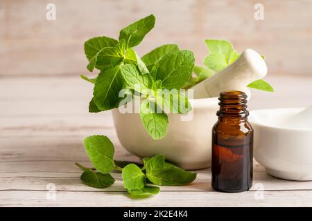 Alternative Medizin Kräuter Bio Kräuter Minze Blatt natürliche Ergänzungen für ein gesundes gutes Leben. Stockfoto