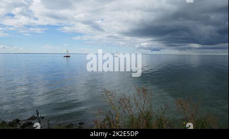 Usedom Island, Lagunenlandschaft Stockfoto