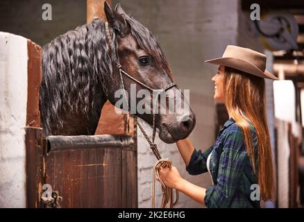 Möchten Sie ein Pat. Ein attraktives junges Cowgirl, das sich im Stall mit ihrem Pferd verklebt. Stockfoto