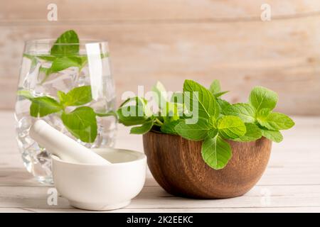 Alternative Medizin Kräuter Bio Kräuter Minze Blatt natürliche Ergänzungen für ein gesundes gutes Leben. Stockfoto