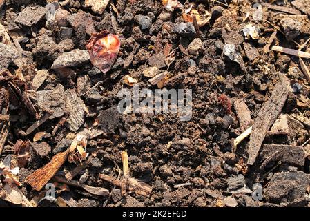 Reste des gesiebten Komposthaufens Stockfoto