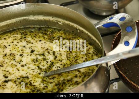 Köstliche türkische Joghurtsuppe mit Minze. Stockfoto