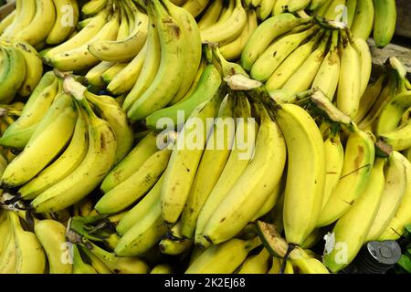 Bananen im Gemüsehändler, eine große Menge Bananen im Verkaufsgang Stockfoto