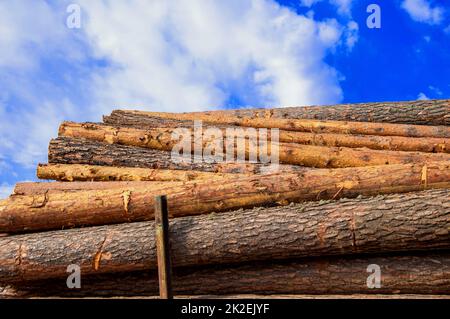 Unbehandeltes Holz im Freien Stockfoto