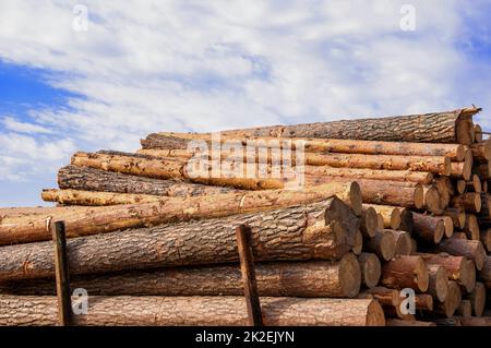 Unbehandeltes Holz im Freien Stockfoto