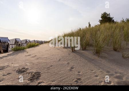 Der Blick auf den Strand von Zempin auf der Insel Usedom mit vielen Liegen Stockfoto